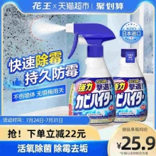 花王 日本进口墙体除霉剂400ml*2瓶