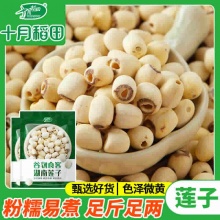 十月稻田 湖南莲子250g*2袋