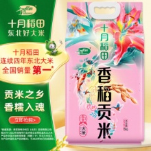 十月稻田 香稻贡米东北大米 5kg 