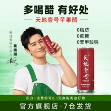 天地壹号 苹果醋饮料270ml*12罐
