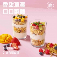 欧扎克 草莓果粒水果燕麦片400g*2包
