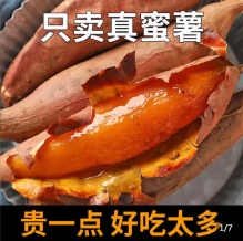 澳农卡  烟薯25号蜜薯