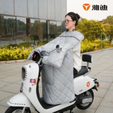 京东 雅迪2款：