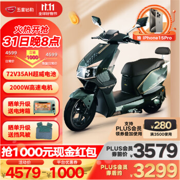 京东 2款电动车：