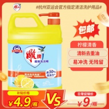 雕牌 洗洁精家庭装1kg