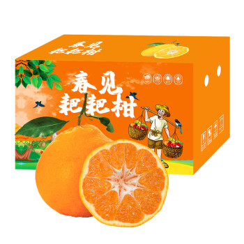 鲜菓篮  四川春见耙耙柑4.5斤