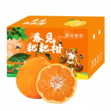 鲜菓篮  四川春见耙耙柑4.5斤