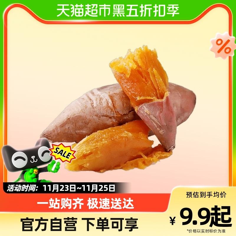 山东烟薯25号3斤小果
