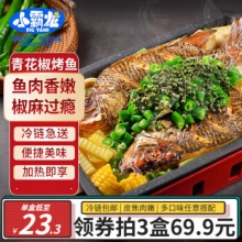 小霸龙 风味烤鱼1kg *1盒