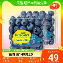 怡颗莓 云南蓝莓125g*2盒大果