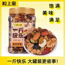 粒上皇 混合坚果500g罐装 