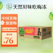 溜溜梅 梅冻综合箱100g*24袋