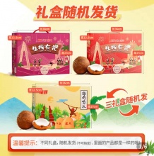 南国 海南特产椰子大礼包1309*2箱