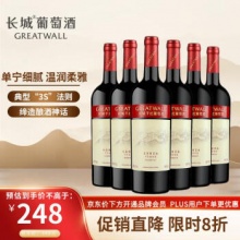 长城 海岸葡园红庄解百纳干红葡萄酒750ml*6瓶