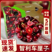 佳沃 智利车厘子5斤J2J3J级