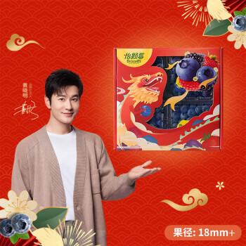 怡颗莓 限量Jumbo超大果 云南蓝莓125g*4盒