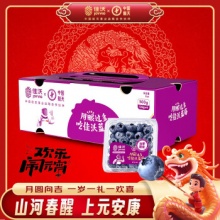 佳沃 云南蓝莓约125g*4盒礼盒装