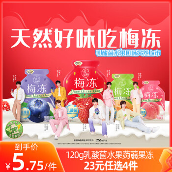 溜溜梅  乳酸菌水果果冻120g 