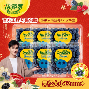 怡颗莓 蓝莓小果125g*6盒