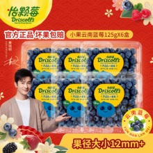 怡颗莓 蓝莓小果125g*6盒