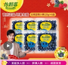 怡颗莓 云南蓝莓小果125gx6盒