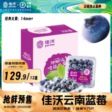 佳沃 云南当季蓝莓约125g*12盒