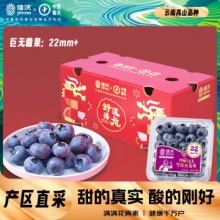 佳沃 云南精选蓝莓 约125g*6盒装  