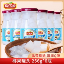 欢乐家 椰果罐头256g*6罐