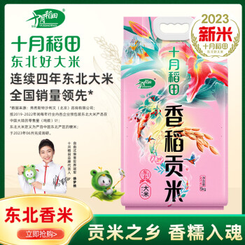 十月稻田 香稻贡米 东北大米 5kg
