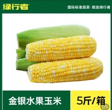 绿行者 水果玉米5斤