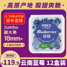 京鲜生 云南蓝莓超大果125g*12盒
