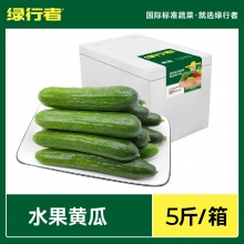 绿行者 荷兰水果黄瓜5斤