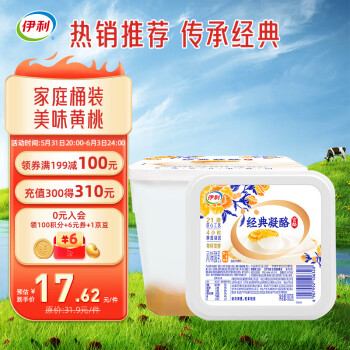伊利经典 凝酪酸奶800g