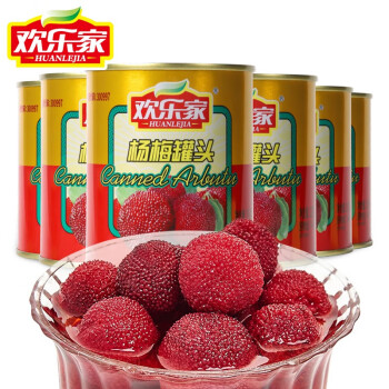 欢乐家 杨梅罐头316g*6罐 