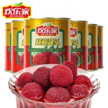 欢乐家 杨梅罐头316g*6罐 