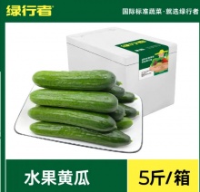 绿行者  荷兰水果黄瓜5斤
