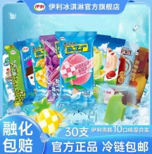 伊利 多口味冰淇淋30支