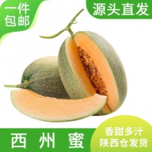 京鲜生 西州蜜哈密瓜  净重4.5斤起