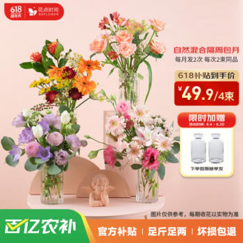 花点时间 自然混合隔周包月4束