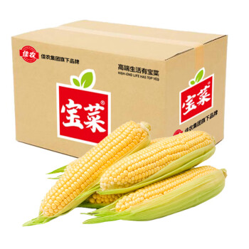 京百味 宝菜 新鲜水果玉米5斤
