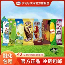 伊利 冰淇淋多口味组合42支