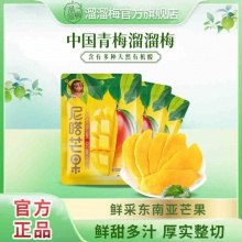 芒果干100g*2袋