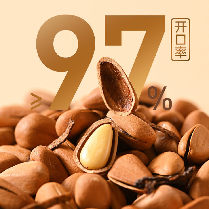薛记炒货 陈皮松子120g*8袋