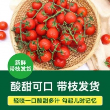 绿行者 散串樱桃番茄4斤装