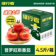 绿行者 普罗旺斯番茄4.5斤