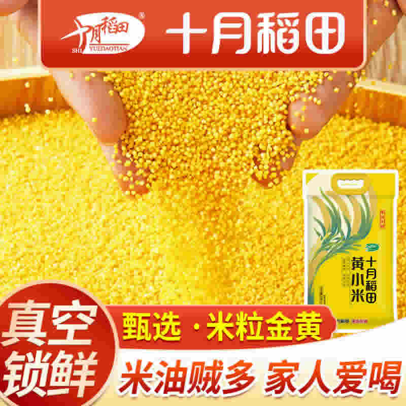 十月稻田 黄小米5斤