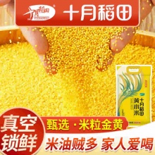 十月稻田 黄小米5斤