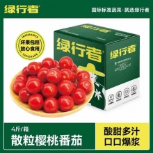 绿行者 红樱桃散粒番茄4斤