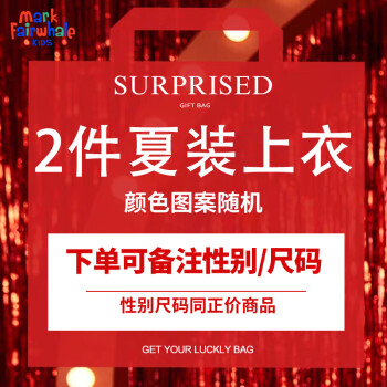 马克华菲 儿童短袖2件装