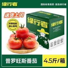 绿行者 普罗旺斯番茄4.5斤